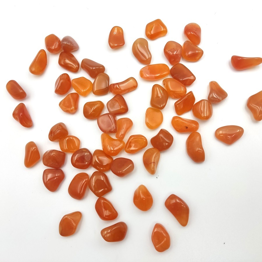 �����ͥꥢ�� ����֥롡1�����