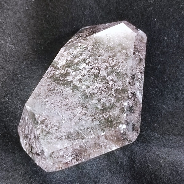 �����ǥ󥯥����ġ��ݥ�å��塦�᤭���֤�ʪ����6.5cm��ŹƬƱ��������