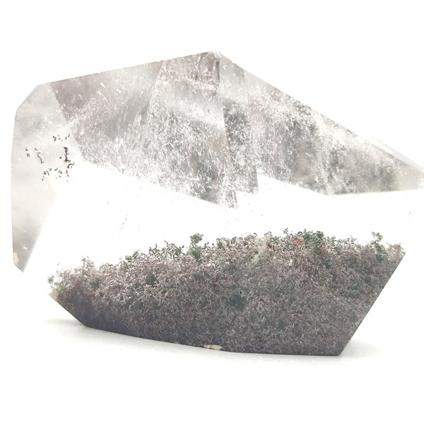 �����ǥ󥯥����ġ��ݥ�å��塦�᤭���֤�ʪ����6.5cm��ŹƬƱ��������