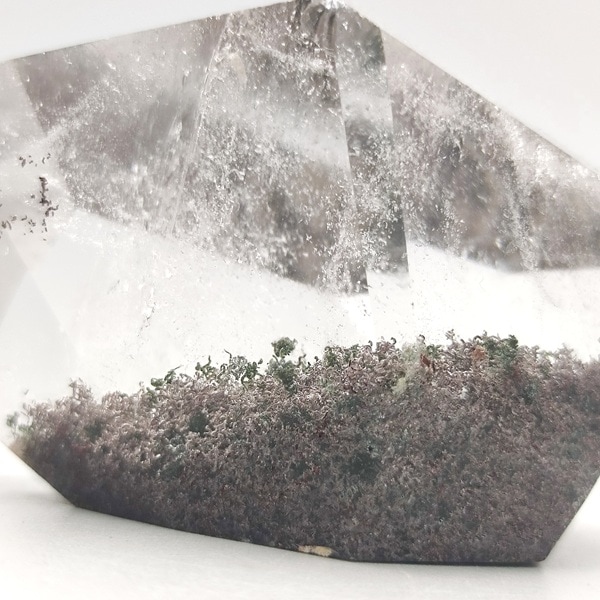 �����ǥ󥯥����ġ��ݥ�å��塦�᤭���֤�ʪ����6.5cm��ŹƬƱ��������