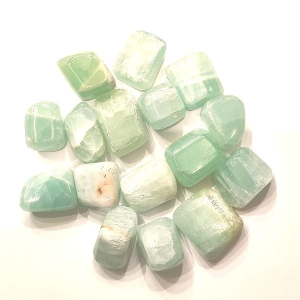 �ԥ����������륵���ȡ��᤭�С�1����ꡡ9g��