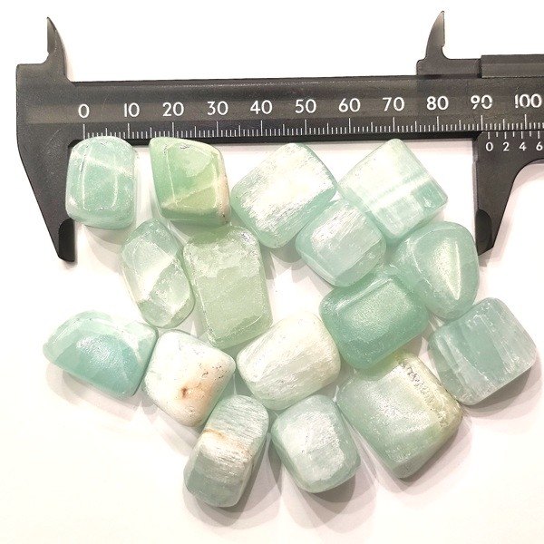 �ԥ����������륵���ȡ��᤭�С�1����ꡡ9g��