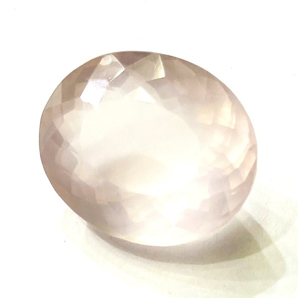 �ڹ��ʼ��ۥ������������ġ����åȥ롼������24ct��1��ʪ