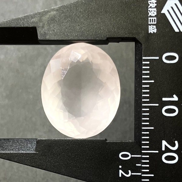 �ڹ��ʼ��ۥ������������ġ����åȥ롼������24ct��1��ʪ