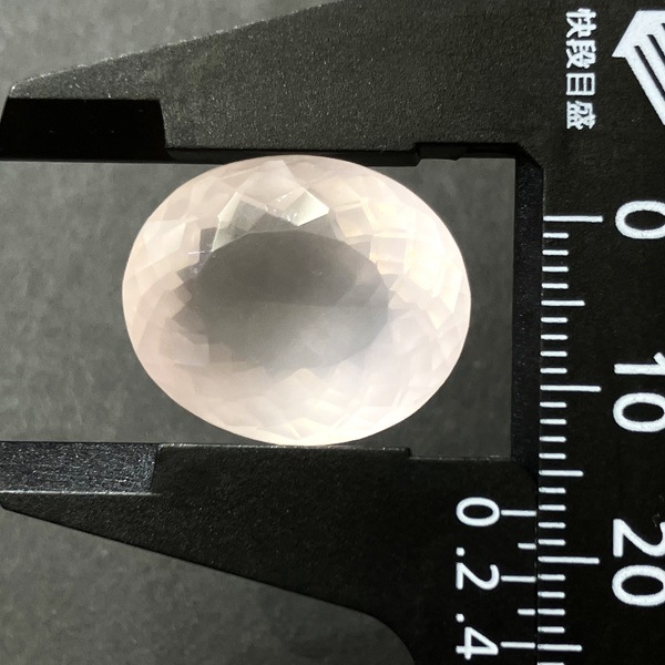 �ڹ��ʼ��ۥ������������ġ����åȥ롼������24ct��1��ʪ