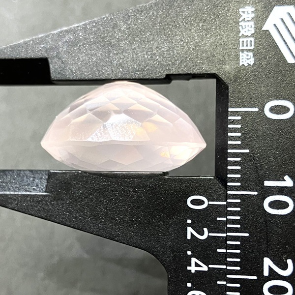 �ڹ��ʼ��ۥ������������ġ����åȥ롼������24ct��1��ʪ