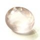 �ڹ��ʼ��ۥ������������ġ����åȥ롼������24ct��1��ʪ