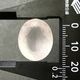�ڹ��ʼ��ۥ������������ġ����åȥ롼������24ct��1��ʪ