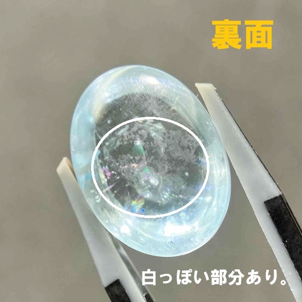 �ʥ�����֥롼�ȥѡ��� ��16mm ���ܥ����롼�� 1��ʪ