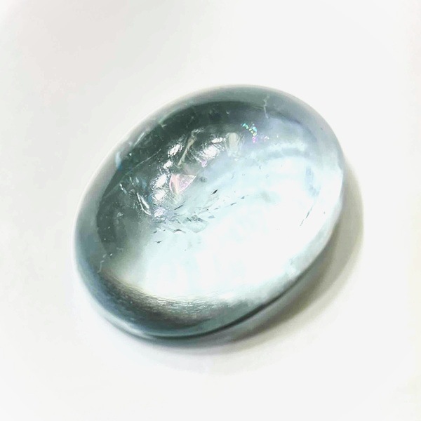 �ʥ�����֥롼�ȥѡ��� ��16mm ���ܥ����롼�� 1��ʪ