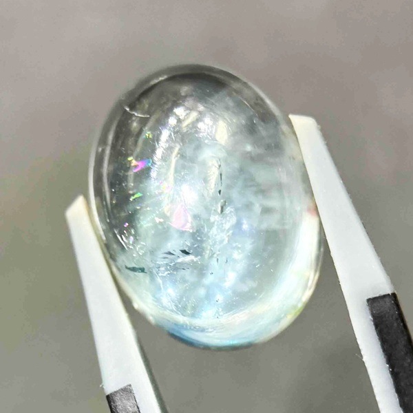 �ʥ�����֥롼�ȥѡ��� ��16mm ���ܥ����롼�� 1��ʪ