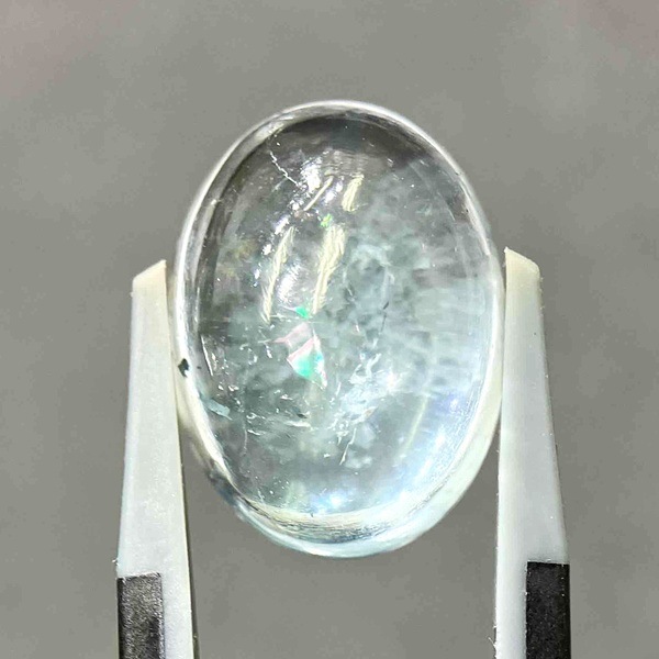 �ʥ�����֥롼�ȥѡ��� ��16mm ���ܥ����롼�� 1��ʪ