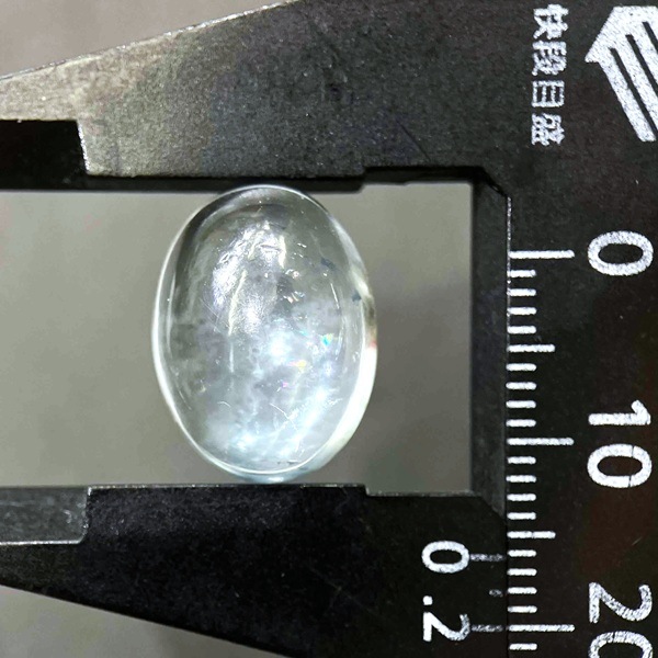 �ʥ�����֥롼�ȥѡ��� ��16mm ���ܥ����롼�� 1��ʪ