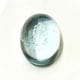 �ʥ�����֥롼�ȥѡ��� ��16mm ���ܥ����롼�� 1��ʪ