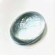 �ʥ�����֥롼�ȥѡ��� ��16mm ���ܥ����롼�� 1��ʪ