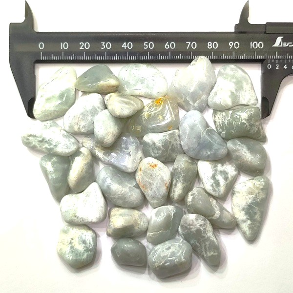 �����ƥޥ黺�ǿ�(��������)���᤭�С�1����ꡡ��g��