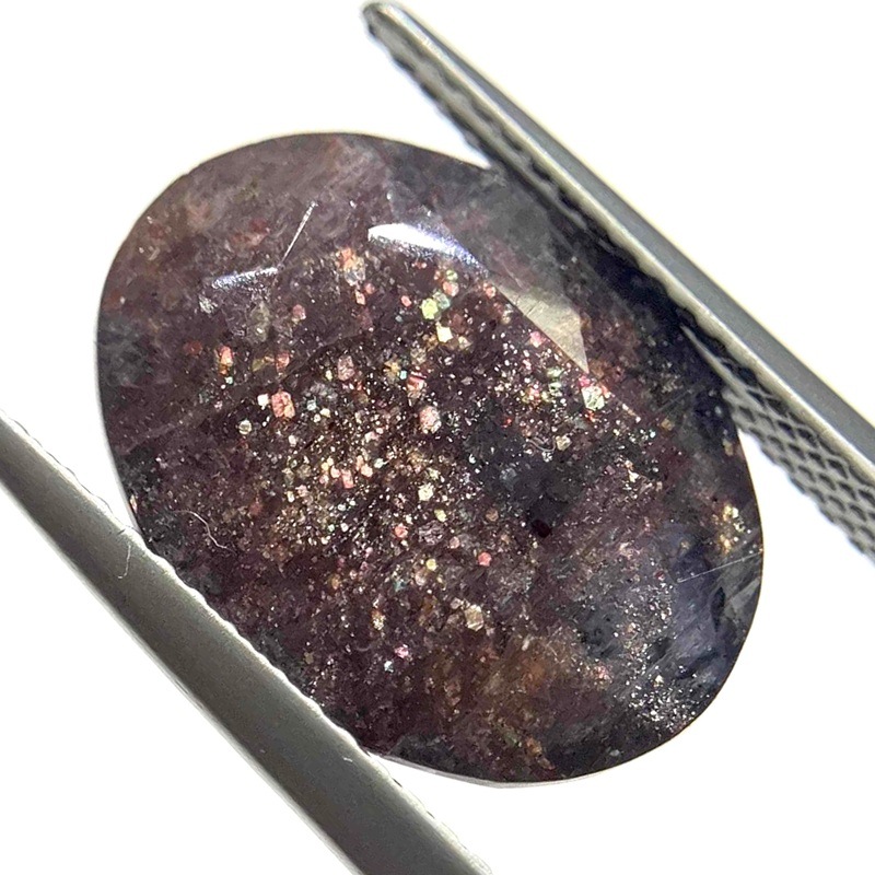 �������饤�ȡ����åȥ롼����6.7ct��1��ʪ