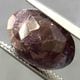 �������饤�ȡ����åȥ롼����6.7ct��1��ʪ