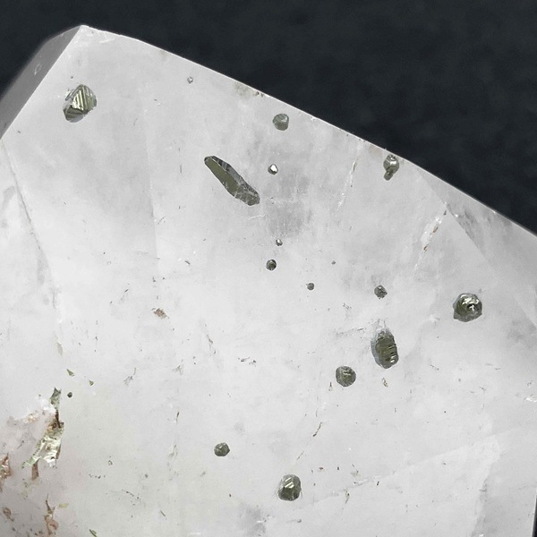 �ѥ��饤�ȥ��󥯥����ġ�ϻ�����᤭����4.7cm