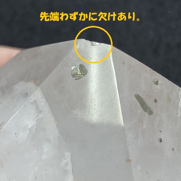 �ѥ��饤�ȥ��󥯥����ġ�ϻ�����᤭����4.7cm