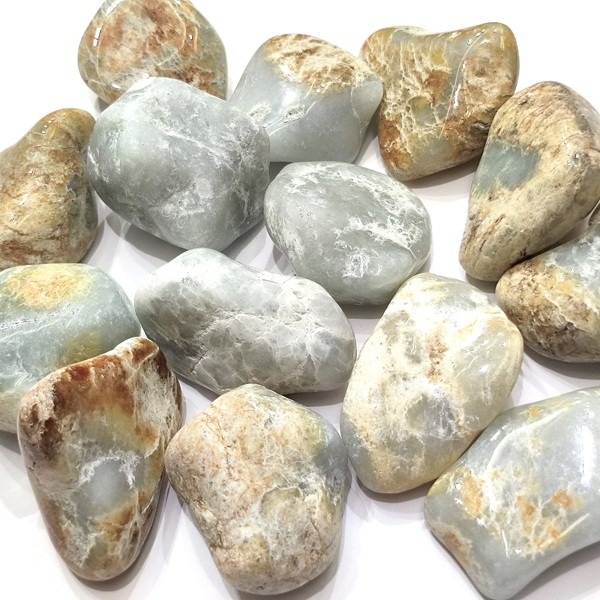 �����ƥޥ黺���ǿ�(��������)���᤭�С�1����ꡡ27g��