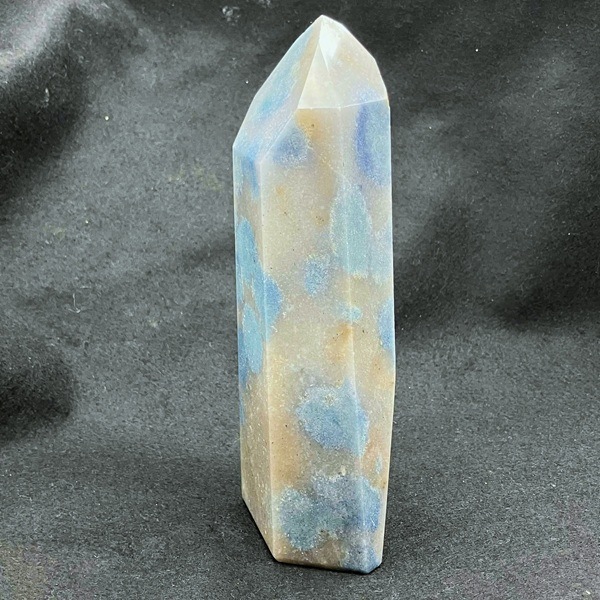�����硪�ۥȥ��쥢���ȡ�ϻ�����᤭����18.2cm��ŹƬƱ��������