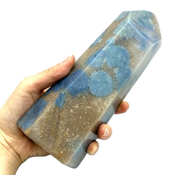 �����硪�ۥȥ��쥢���ȡ�ϻ�����᤭����18.2cm��ŹƬƱ��������