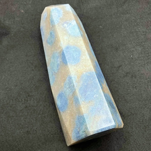 �����硪�ۥȥ��쥢���ȡ�ϻ�����᤭����18.2cm��ŹƬƱ��������