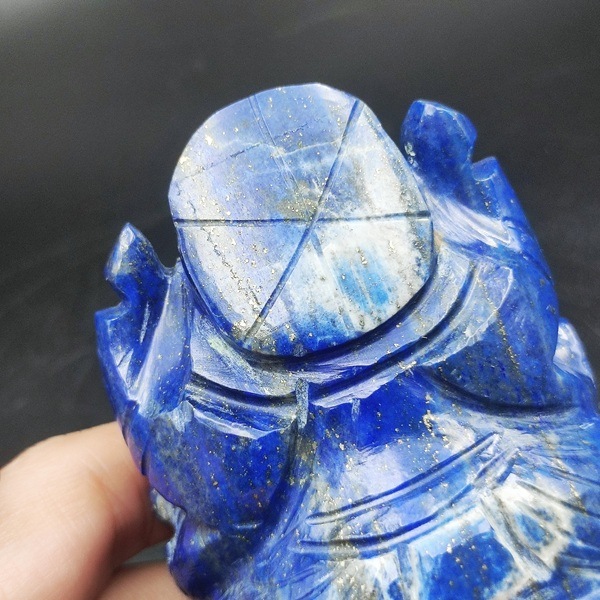 ��ŹƬƱ������۾ݿ����͡����㡡��ԥ��饺�� 229g