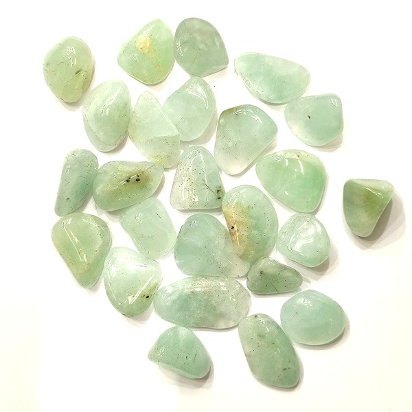 �ץ�ʥ��ȡ��᤭�С�1����ꡡ2g��