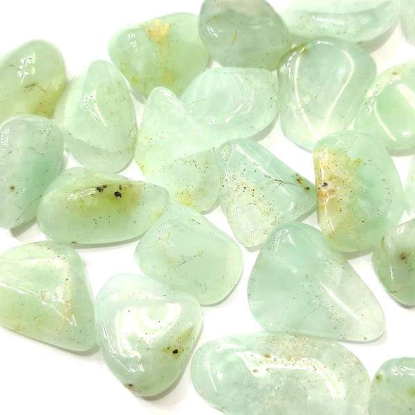 �ץ�ʥ��ȡ��᤭�С�1����ꡡ2g��