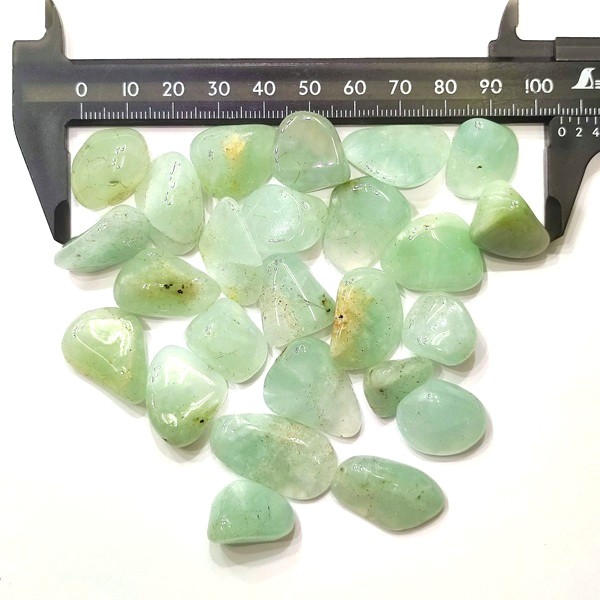 �ץ�ʥ��ȡ��᤭�С�1����ꡡ2g��