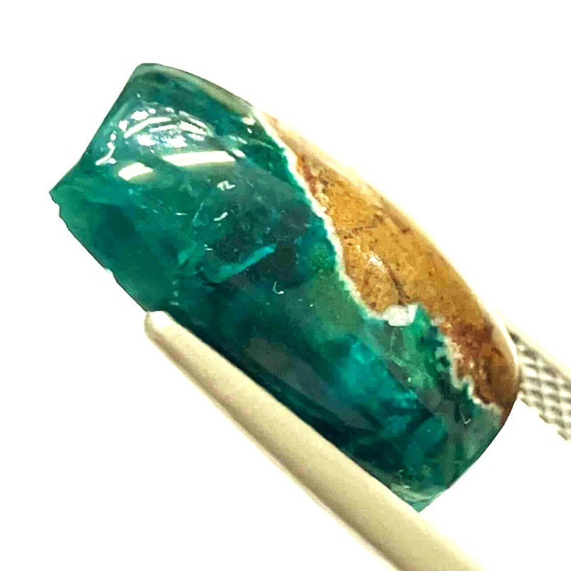 �������ץơ��������ܥ����롼����7.2ct��1��ʪ