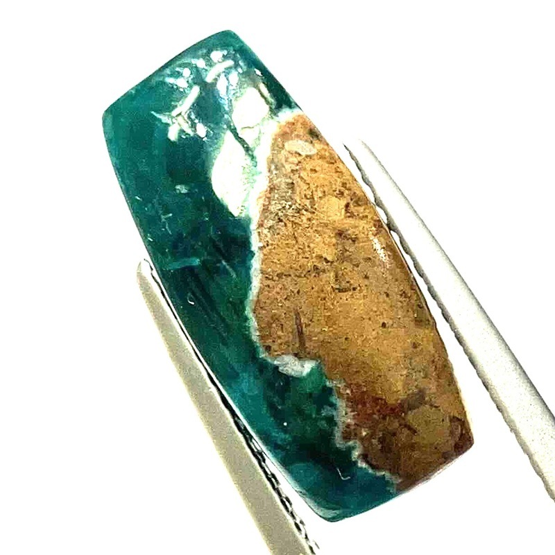 �������ץơ��������ܥ����롼����7.2ct��1��ʪ