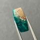 �������ץơ��������ܥ����롼����7.2ct��1��ʪ