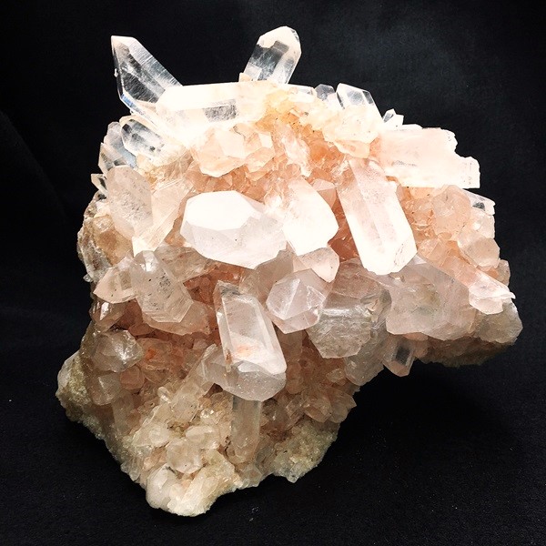 �ޥ˥���󻺿徽���饹��������2410�硡ŹƬƱ������