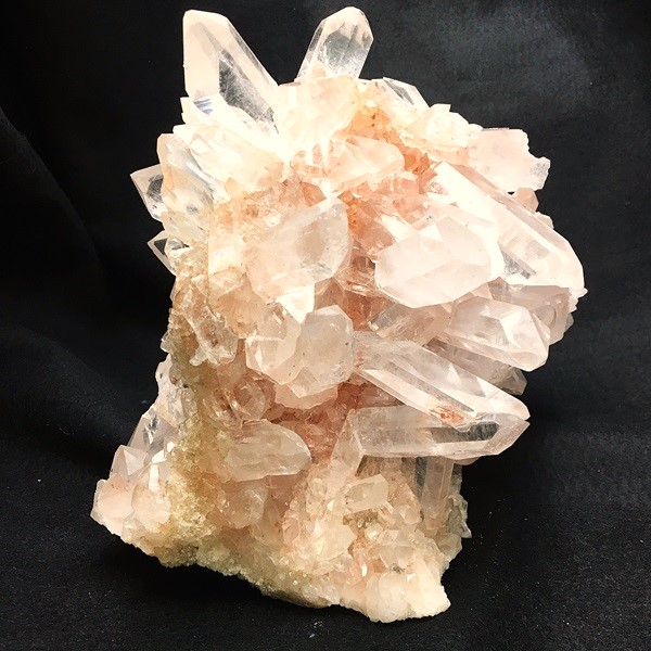 �ޥ˥���󻺿徽���饹��������2410�硡ŹƬƱ������