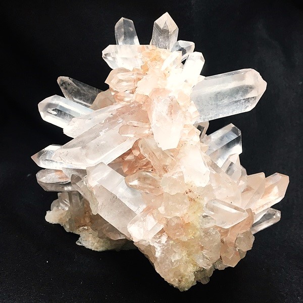 �ޥ˥���󻺿徽���饹��������2410�硡ŹƬƱ������