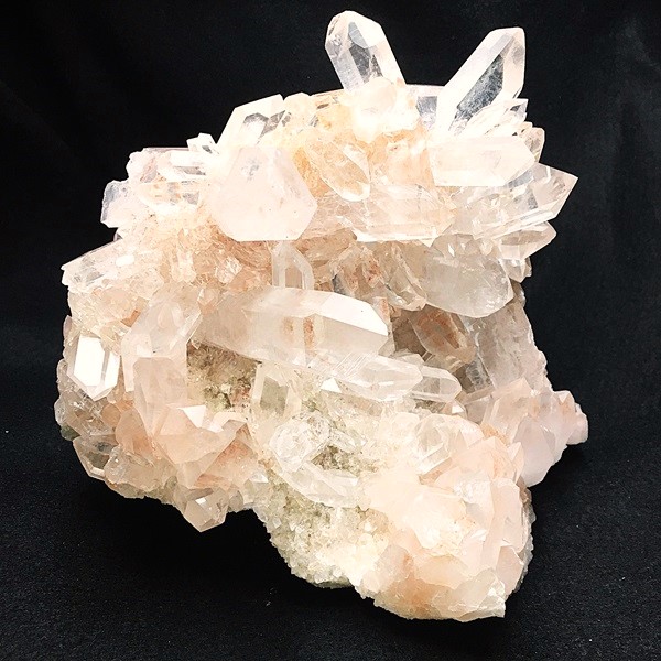 �ޥ˥���󻺿徽���饹��������2410�硡ŹƬƱ������