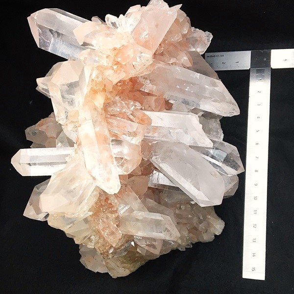 �ޥ˥���󻺿徽���饹��������2410�硡ŹƬƱ������