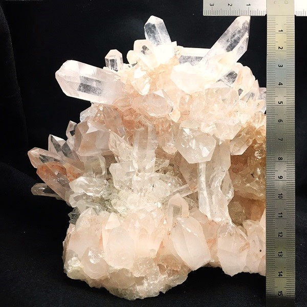 �ޥ˥���󻺿徽���饹��������2410�硡ŹƬƱ������