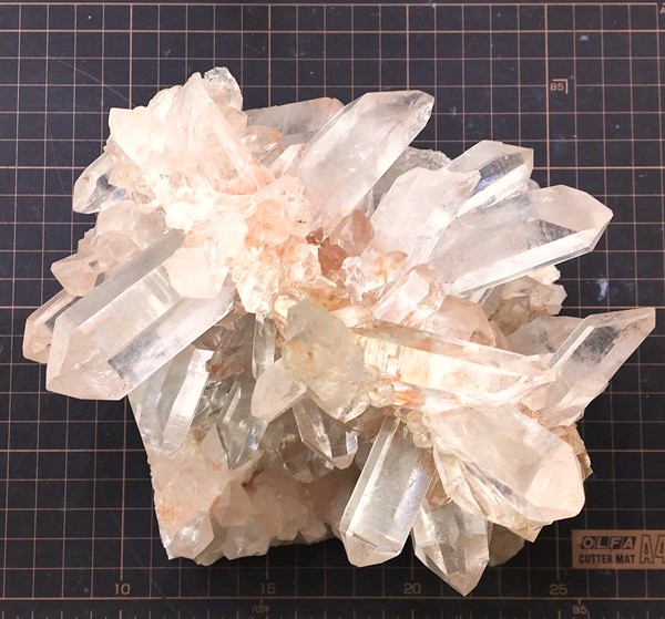 �ޥ˥���󻺿徽���饹��������2410�硡ŹƬƱ������