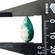 �������ץơ��������ܥ����롼����8.9ct��1��ʪ