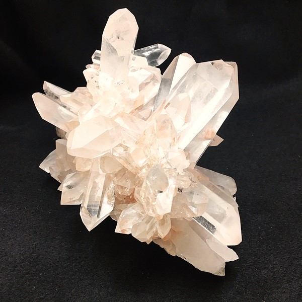 �ޥ˥���󻺿徽���饹��������1150�硡ŹƬƱ������