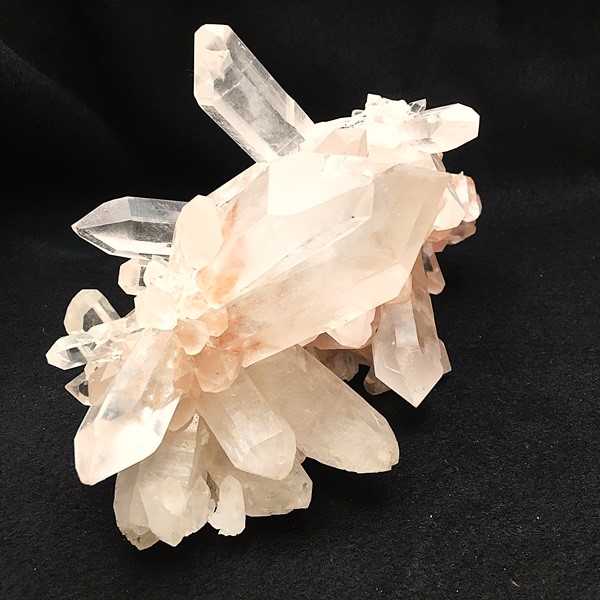 �ޥ˥���󻺿徽���饹��������1150�硡ŹƬƱ������