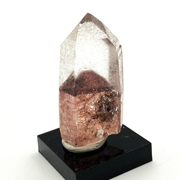 ��åɥե���ȥ९�����ġ����Хݥ����(�ߥ�����դ�)����3.8cm�����ɻ���