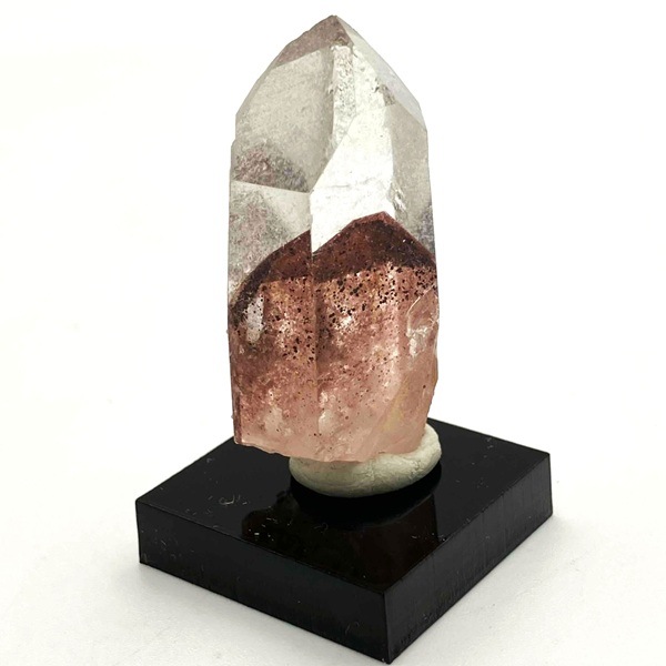 ��åɥե���ȥ९�����ġ����Хݥ����(�ߥ�����դ�)����3.8cm�����ɻ���