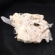 ޥ˥󻺿徽饹1160硡ŹƬƱ