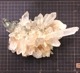 ޥ˥󻺿徽饹1160硡ŹƬƱ