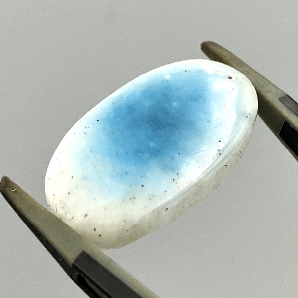 �֥롼�������������ĥ롼��(����ɥͥ�����)�����ܥ���󡦥����Х�25������4.2g��1��ʪ